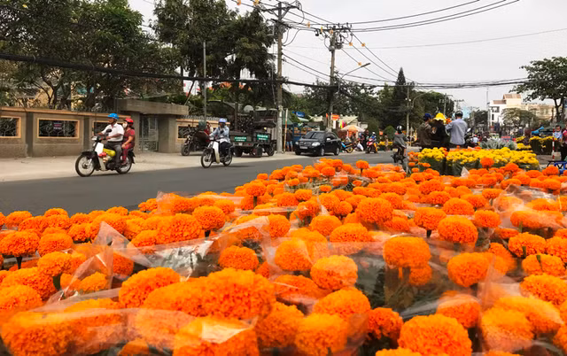 Giữa trưa nay 30 Tết (15/2), những giờ cuối cùng chuẩn bị đón giao thừa mừng năm mới Mậu Tuất, đường phố TP.HCM từ trung tâm ra đến các quận, huyện ngoại thành tràn ngập sắc hoa rực rỡ. Giữa trưa nay 30 Tết (15/2), những giờ cuối cùng chuẩn bị đón giao thừa mừng năm mới Mậu Tuất, đường phố TP.HCM từ trung tâm ra đến các quận, huyện ngoại thành tràn ngập sắc hoa rực rỡ.