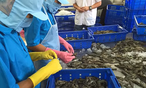 Có một số ngành hàng phát triển xuất khẩu rất nhanh, nhưng có một số ngành hàng còn lúng túng, lúc trồi lúc sụt. Có một số ngành hàng phát triển xuất khẩu rất nhanh, nhưng có một số ngành hàng còn lúng túng, lúc trồi lúc sụt.