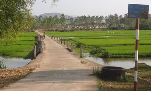 Chuyện “ma sống” vất vưởng quanh cây cầu ở Quảng Nam Chuyen “ma song” vat vuong quanh cay cau o Quang Nam