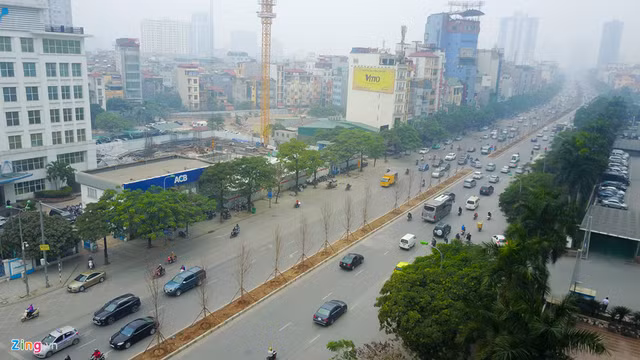 Phong là một loài cây ôn đới, được trồng nhiều ở các nước như Canada, Hàn Quốc, Nhật Bản… Tại Việt Nam, một số nơi cũng xuất hiện cây phong, chủ yếu trong các khu rừng vùng núi phía bắc như Tả Liên, Putaleng (Lai Châu), Chế Tạo (Yên Bái)… Phong là một loài cây ôn đới, được trồng nhiều ở các nước như Canada, Hàn Quốc, Nhật Bản… Tại Việt Nam, một số nơi cũng xuất hiện cây phong, chủ yếu trong các khu rừng vùng núi phía bắc như Tả Liên, Putaleng (Lai Châu), Chế Tạo (Yên Bái)…