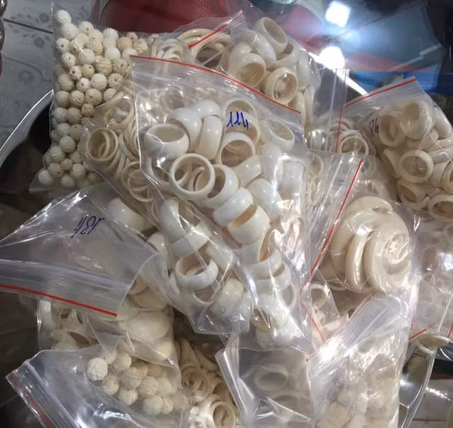 Cựu cán bộ hải quan tráo tang vật ngà voi lĩnh 16 năm tù - Hình 2 Cuu can bo hai quan trao tang vat nga voi linh 16 nam tu-Hinh-2