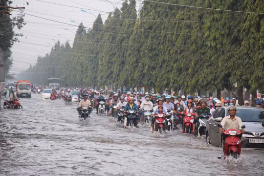 Triều cường bủa vây đồng bằng sông Cửu Long Trieu cuong bua vay dong bang song Cuu Long