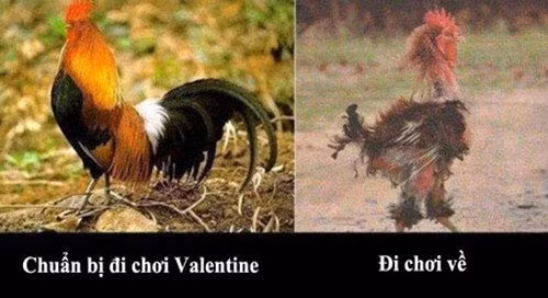 Anh hai huoc su that phu phang hau Valentine