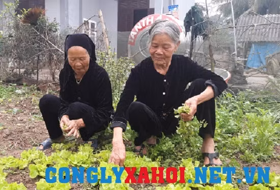 Chuyện cổ tích của hai người phụ nữ chung chồng suốt nửa thế kỷ Chuyen co tich cua hai nguoi phu nu chung chong suot nua the ky