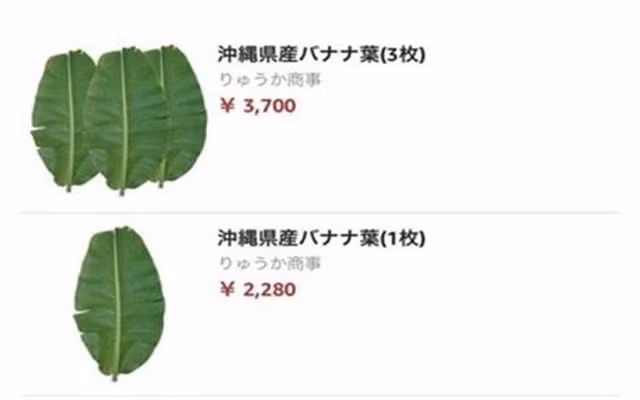 Một chiếc lá chuối tươi được rao bán trên trang Amazon Nhật Bản với giá 2.280 yên, tương đương gần 500.000 đồng, trong khi ở Việt Nam người dân đa phần toàn chặt bỏ đi. Ảnh: Amazon. Một chiếc lá chuối tươi được rao bán trên trang Amazon Nhật Bản với giá 2.280 yên, tương đương gần 500.000 đồng, trong khi ở Việt Nam người dân đa phần toàn chặt bỏ đi. Ảnh: Amazon.