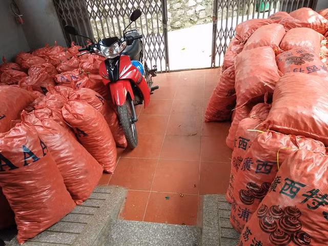 Củ mã thầy Trung Quốc ồ ạt về Việt Nam. Củ mã thầy Trung Quốc ồ ạt về Việt Nam.