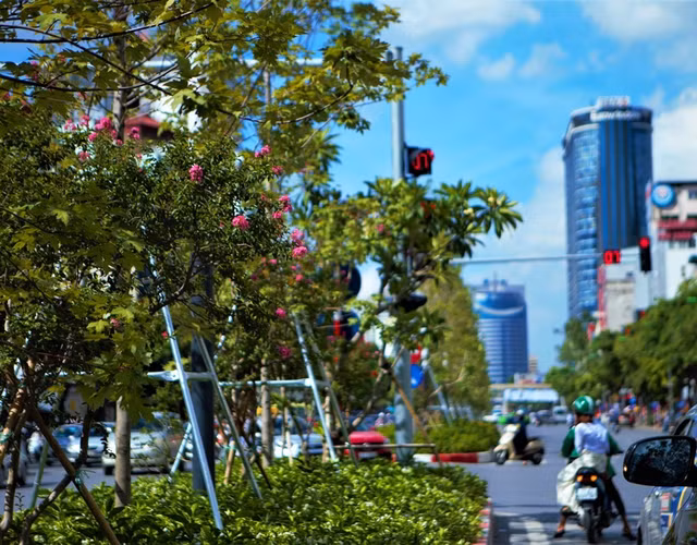 Tầng trên cùng là cây phong, tầng giữa là hoa tường vi cánh mỏng màu hồng và tầng dưới cùng là các loài hoa như: Râm bụt, trang đỏ,… được trồng theo từng đoạn. Tầng trên cùng là cây phong, tầng giữa là hoa tường vi cánh mỏng màu hồng và tầng dưới cùng là các loài hoa như: Râm bụt, trang đỏ,… được trồng theo từng đoạn.