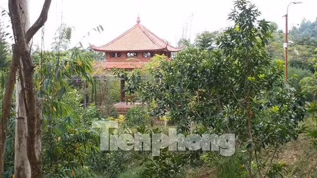 Giữa rừng, ông Long còn cho xây dựng những đài vọng cảnh hoành tráng được xếp sẵn ghế tiện cho việc thư giãn, nghỉ nghơi. Giữa rừng, ông Long còn cho xây dựng những đài vọng cảnh hoành tráng được xếp sẵn ghế tiện cho việc thư giãn, nghỉ nghơi.