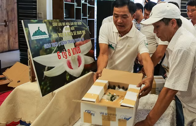 Bán cây lan giá 6,8 tỷ đồng: Nghệ nhân không phải nộp thuế? Ban cay lan gia 6,8 ty dong: Nghe nhan khong phai nop thue?