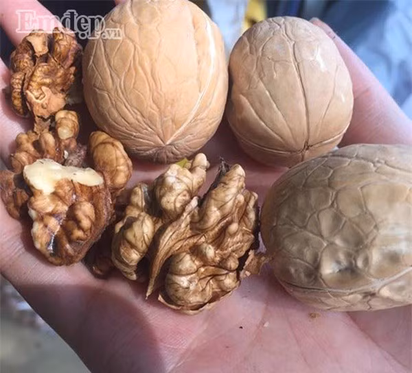 Tiểu thương tiết lộ "sốc" giá bánh, mứt, kẹo dịp trước Tết - Hình 4 Tieu thuong tiet lo "soc" gia banh, mut, keo dip truoc Tet-Hinh-4