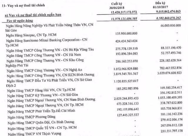 Rơi vào nợ nần, ai sẽ cứu Hoa Sen của ông Lê Phước Vũ? - Hình 2 Roi vao no nan, ai se cuu Hoa Sen cua ong Le Phuoc Vu?-Hinh-2