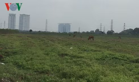 Dù sốt giá nhưng tại Bình Dương nhiều khu đất có vị trí đẹp vẫn bị bỏ hoang trong nhiều năm. Dù sốt giá nhưng tại Bình Dương nhiều khu đất có vị trí đẹp vẫn bị bỏ hoang trong nhiều năm.