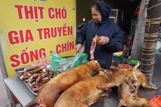 Giao su Tran Lam Bien: 