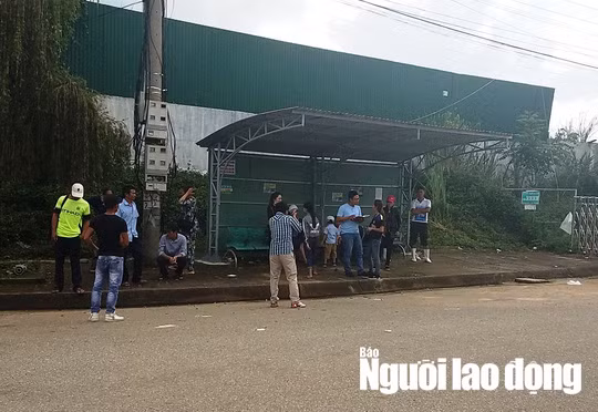 Nhiều người dân đang chờ làm thủ tục nhập cảnh vào trong nước