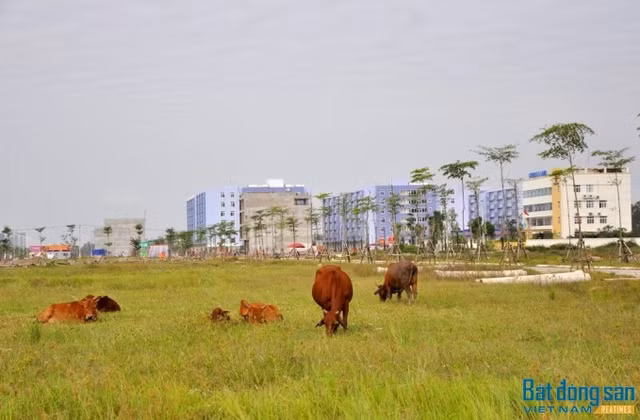 Những dự án đình đám từng chết chìm bỗng "đổi vận" nhờ M&A Nhung du an dinh dam tung chet chim bong