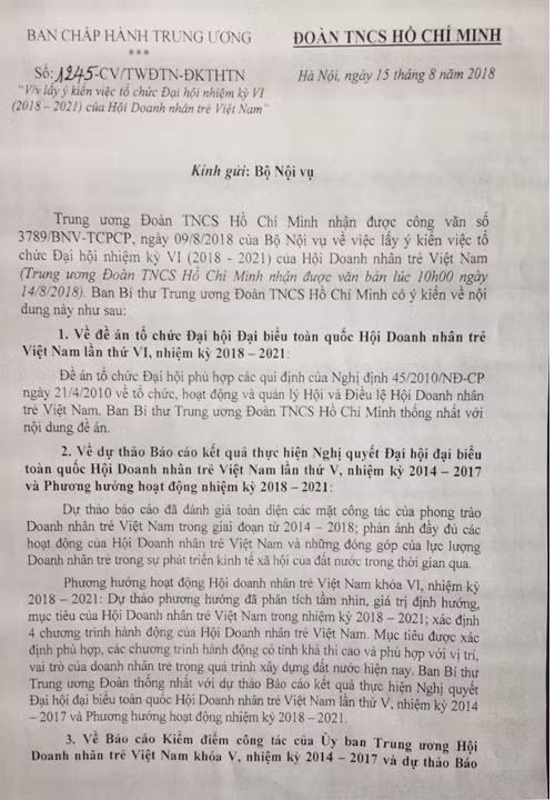 Hội Doanh nhân trẻ VN “rối như canh hẹ” trước thềm đại hội - Hình 5 Hoi Doanh nhan tre VN “roi nhu canh he” truoc them dai hoi-Hinh-5
