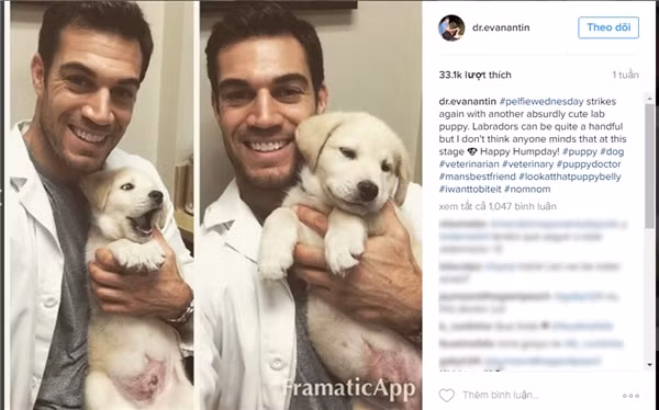 Evan Antin, bác sĩ thú y ở bệnh viện Conejo Valley Veterinary, Mỹ. Evan Antin, bác sĩ thú y ở bệnh viện Conejo Valley Veterinary, Mỹ.