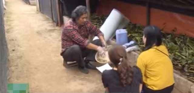Trang trại nuôi giun quế khép kín của ông Khang mang về thu nhập trên 3 tỷ đồng/năm. Ảnh: VTC16. Trang trại nuôi giun quế khép kín của ông Khang mang về thu nhập trên 3 tỷ đồng/năm. Ảnh: VTC16.