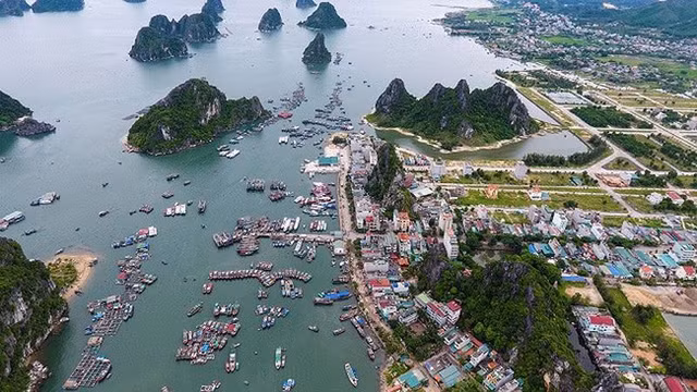 Chặn sốt đất đặc khu: Quyết định khiến dân đầu cơ lo sợ - Hình 2 Chan sot dat dac khu: Quyet dinh khien dan dau co lo so-Hinh-2