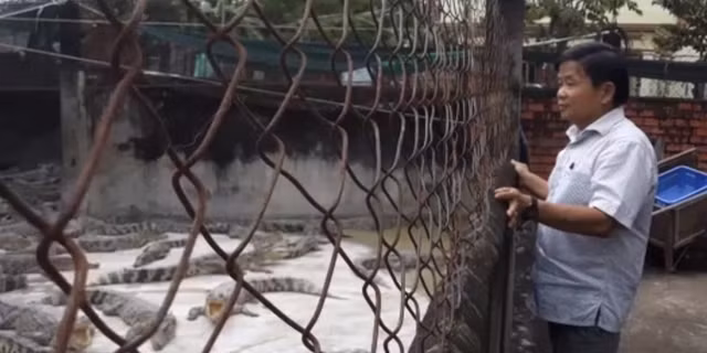 “Đột nhập” trang trại cá sấu tiền tỷ khủng nhất miền Tây “Dot nhap” trang trai ca sau tien ty khung nhat mien Tay