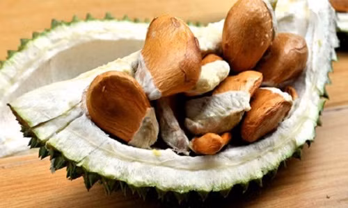 Hạt sầu riêng sốt giá, dao động từ 60.000- 90.000 đồng/kg hạt. Hạt sầu riêng sốt giá, dao động từ 60.000- 90.000 đồng/kg hạt.