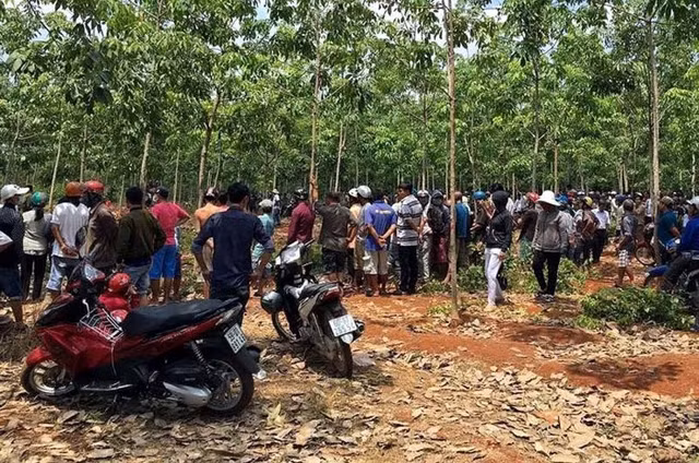 Ảnh minh họa Ảnh minh họa