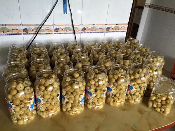 Độc lạ Tây Bắc: Mắc kham chua chát nghẹn cổ, chị em vẫn phát cuồng - Hình 2 Doc la Tay Bac: Mac kham chua chat nghen co, chi em van phat cuong-Hinh-2
