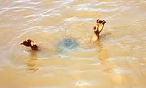 Đưa con đi tập bơi, 2 cha con chết đuối rất thương tâm Dua con di tap boi, 2 cha con chet duoi rat thuong tam