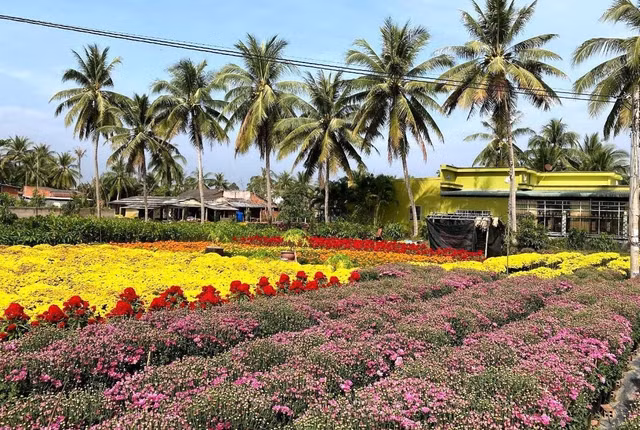 1-2670.jpg