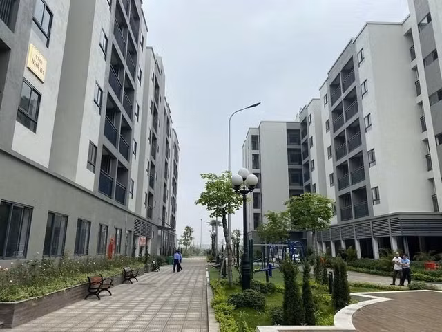 1-6048.jpg
