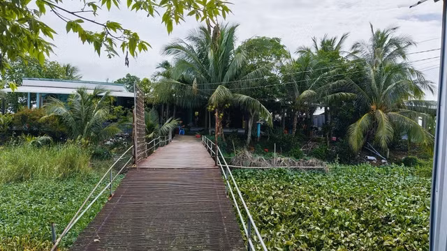 555.jpg