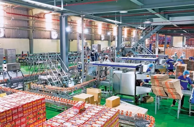 Công ty CP Sữa Quốc tế Lof bổ nhiệm ông Đoàn Hữu Nguyên giữ chức tổng giám đốc.
