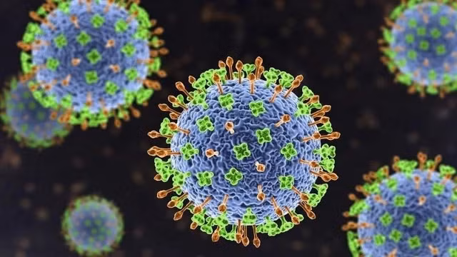 Bệnh do virus Nipah chưa có vắc xin và thuốc điều trị đặc hiệu cho cả người và động vật