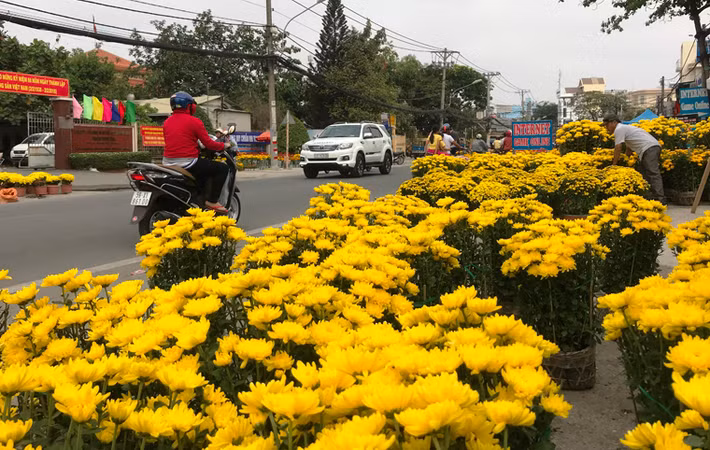 Một tuyến đường được nhiều người bày bán hoa, trái dịp Tết ở quận 9 (TP.HCM) nhưng rất vắng người qua lại vào trưa 30 Tết.