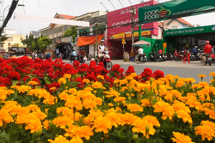 Hàng loạt điểm kinh doanh hoa, kiểng Tết dọc các tuyến đường ở TP.HCM vẫn còn đầy ắp hoa dù chỉ còn 12 tiếng đồng hồ nữa là đến thời khắc giao thừa.