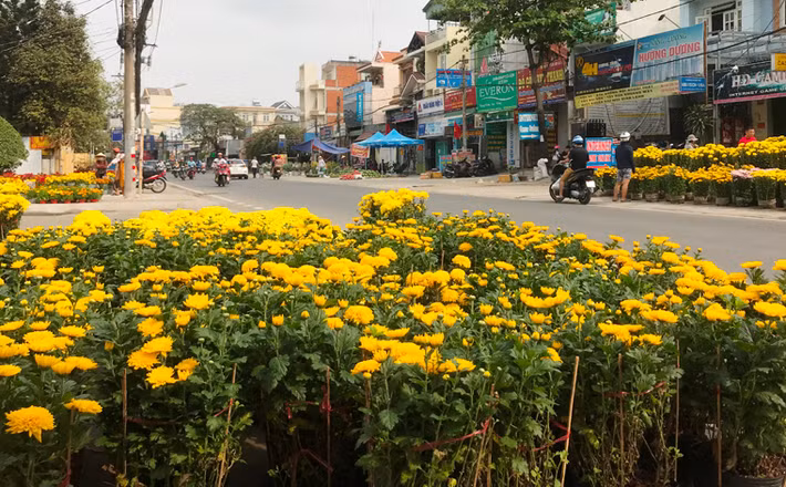 "Tôi và gia đình đầu tư gần 100 triệu đồng để kinh doanh hoa Tết. Thức đêm từ ngày đưa ông Công, ông Táo đến nay mà chỉ bán chưa được phân nửa, Tết này coi như thất bại", anh Long, một người kinh doanh hoa ở quận Bình Thạnh buồn bã chia sẻ.