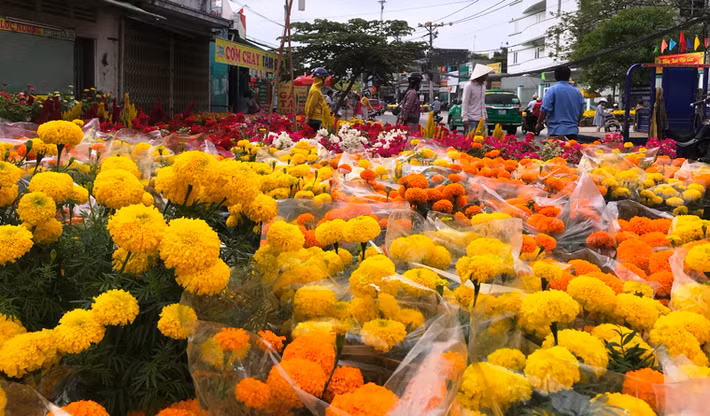 Trên các vỉa hè, hoa đủ chủng loại, màu sắc được trưng bày khiến đường phố vô cùng lộng lẫy trong không khí mùa xuân.