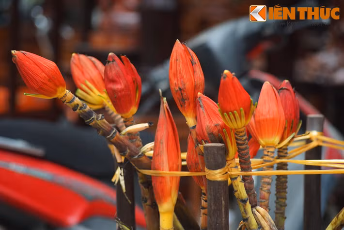 "Hoa chuối đỏ tươi" trong thi ca là đây.
