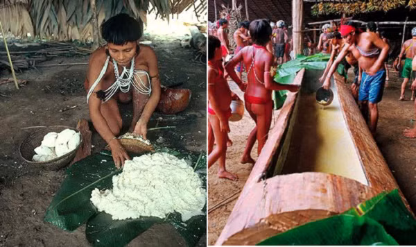 7. Ăn tro cốt của người chết tại Brazil và Venezuela Yanomami là một trong những bộ tộc sống cô lập ở Nam Mỹ. Họ sống trong các rừng nhiệt đới ở vùng núi phía Bắc Brazil và miền Nam Venezuela. Khi một người của bộ lạc Yanomami chết, họ sẽ được hỏa thiêu. Bột tro của người chết được đựng trong những quả bầu khô và được cất giữ ở nơi trang trọng trong nhà. Chừng một năm sau, người Yanomami sẽ đem tro cốt người chết ra chế biến thành thức ăn. Tro cốt được chế biến hoặc làm gia vị cho nhiều món, trong đó có món chính là súp chuối. Họ tin rằng, nếu như thân xác người chết hòa với thân xác người sống, linh hồn của người khuất sẽ như được tiếp thêm sức mạnh, không thấy mệt mỏi khi trải qua kiếp nạn trên đường tới thế giới bên kia. Và hơn hết, người sống có thể giữ người họ yêu quý bên mình mãi mãi.
