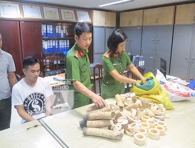 Tại nhà của đối tượng Nguyễn Hữu Tiễn (SN 1983), tổ công tác đã thu giữ được 92kg vật phẩm nghi là ngà voi