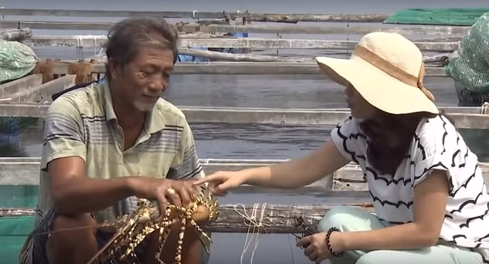 Loại tôm to nặng 1,4kg như thế này được nuôi trong vòng 20 tháng. Giá bán khoảng 1,8 triệu đồng/kg. Ảnh: Youtube.