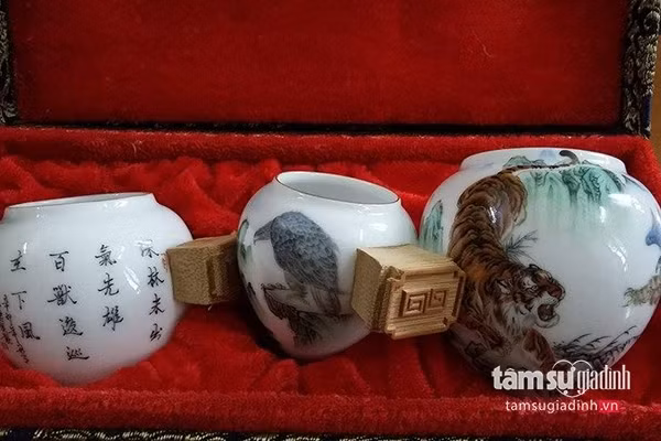 Anh T. tâm sự, chăm sóc họa mi chọi rất khó, nhất là sau Tết âm lịch, bởi đây là thời điểm sẽ diễn ra nhiều giải đấu. Vào thời điểm chuẩn bị cho trận đấu lớn thì việc chăm chúng càng quan trọng vì chỉ cần xuất hiện âm thanh lạ, động tác của người lạ có thể làm chú chim kinh động và khiến công sức đổ xuống sông xuống bể. Chính vì vậy, “không ít tay chơi quên ăn, quên ngủ, bỏ cả công việc chỉ để ở nhà chăm chim. "Còn tôi, công việc không thể bỏ dở nên đành phải lắp camera giám sát chúng 24/24 giờ và căn dặn người nhà không được bén mảng gần bảo bối của mình”, anh T. chia sẻ kinh nghiệm.