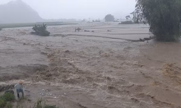 Nước lũ dâng cao chảy siết qua địa phận xã Vĩnh Đồng (huyện Kim Bôi, tỉnh Hòa Bình). Ông Bùi Thanh Hải - Chủ tịch UBND xã Vĩnh Đồng cho biết, từ ngày 19 đến 20/7, trên địa bàn xã Vĩnh Đồng cũng như huyện Kim Bôi mưa lớn diễn ra trên diện rộng. Sông, suối trên địa bàn xảy ra lũ quét. Hiện xã Vĩnh Đồng đang thống kê thiệt hại do mưa lũ gây ra. Đặc biệt vào chiều ngày 19/7, mưa lũ khiến ông Bùi Văn Tiến (ở xóm Cốc) tử vong khi đi lên đồi kiểm tra cây. Thi thể nạn nhân được phát hiện ở khe đồi. Ảnh FB.