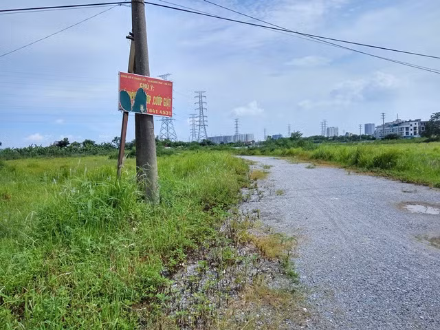 Tuy nhiên, trong suốt 14 năm, dự án khu đô thị này vẫn dậm chân tại chỗ, cỏ dại mọc um tùm. Ảnh: Dân Việt.