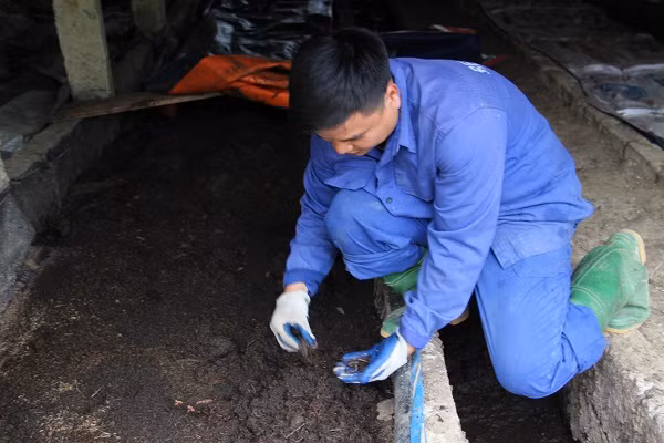 Ban đầu, anh Hồng mua một ít giống giun đem về khu vườn vài chục m2. Sau hơn 1 năm, Ngô Minh Hồng đã mở rộng mô hình lên 1.000m2. Ảnh: Dân Việt.