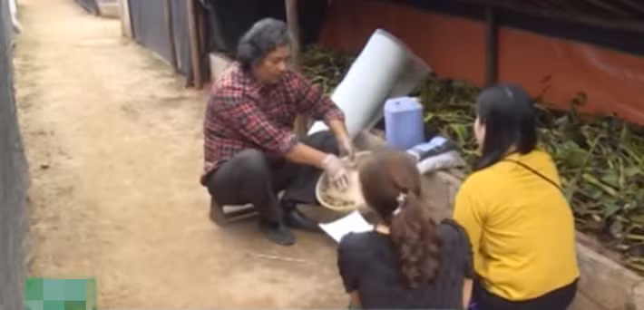 Trang trại nuôi giun quế khép kín của ông Khang mang về thu nhập trên 3 tỷ đồng/năm. Ảnh: VTC16.