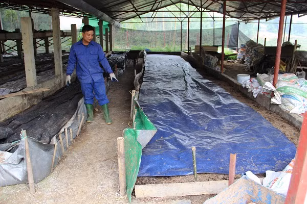 Nguồn thu từ bán giun thịt, giun giống, phân giun cho anh Hồng thu lãi từ 80 – 100 triệu đồng/tháng. Ảnh: Dân Việt.