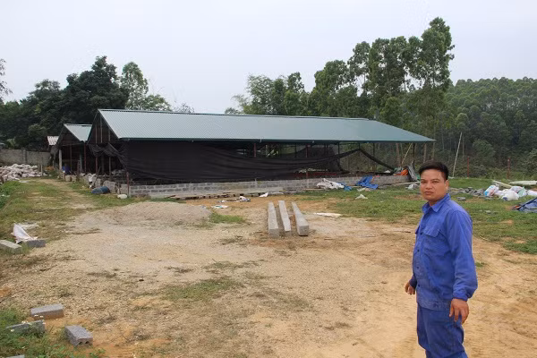 Trang trại nuôi giun quế Nhật rộng 1.000 m2 đem về cả tỷ đồng mỗi năm cho anh Ngô Minh Hồng (Trung Giáp, Phù Ninh, Phú Thọ). Ảnh: Dân Việt.