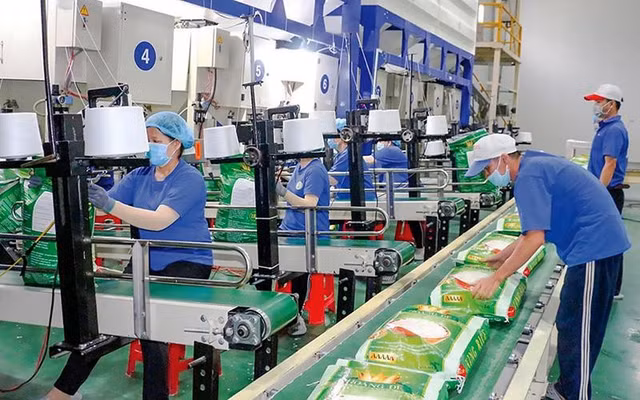 Liên tục báo lỗ, Gạo Trung An (TAR) còn bị kiểm toán từ chối cho ý kiến Lien tuc bao lo, Gao Trung An (TAR) con bi kiem toan tu choi cho y kien