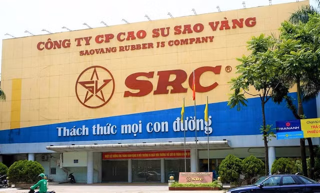 Cao su Sao Vàng báo lãi 'đột biến' trong quý II, gấp 19 lần cùng kỳ Cao su Sao Vang bao lai 'dot bien' trong quy II, gap 19 lan cung ky